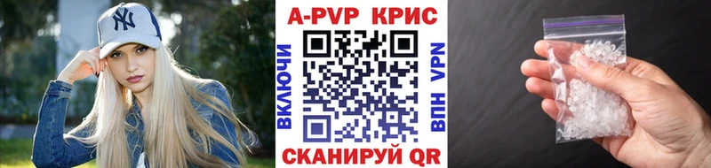 A PVP СК  Сыктывкар 
