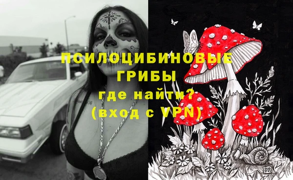 спиды Алексеевка
