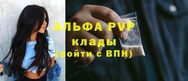 индика Алексин