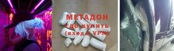 индика Алексин