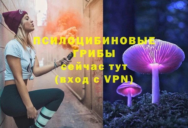 спиды Алексеевка