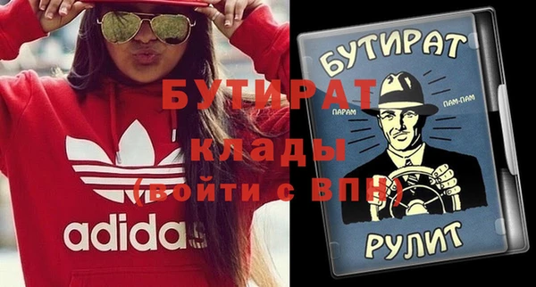 индика Алексин