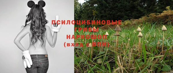 метадон Абинск