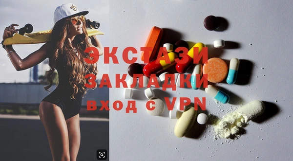 индика Алексин
