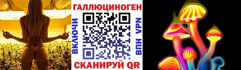 Псилоцибиновые грибы мицелий  магазин продажи   Сыктывкар 