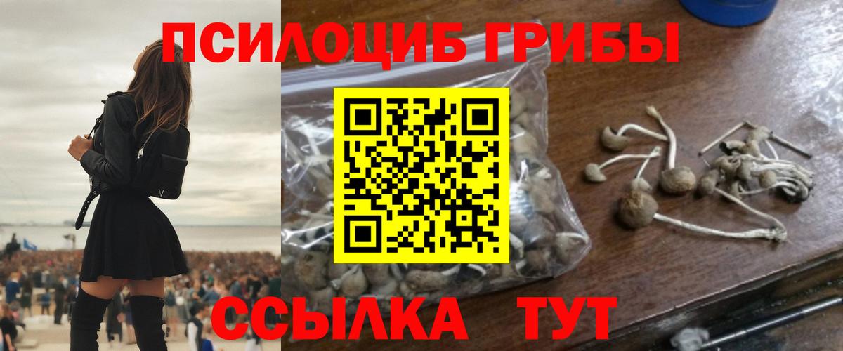 Галлюциногенные грибы Magic Shrooms Сыктывкар
