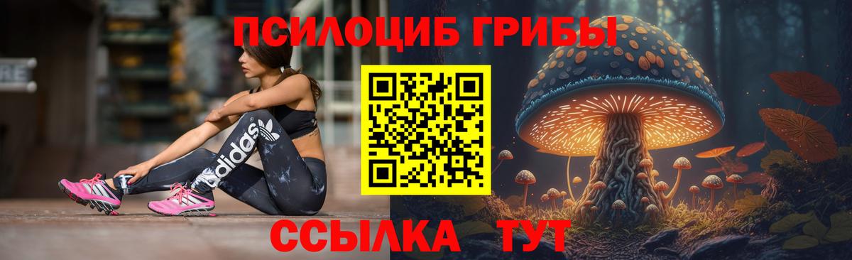 Галлюциногенные грибы Psilocybine cubensis  Вход с VPN  закладки  Сыктывкар 